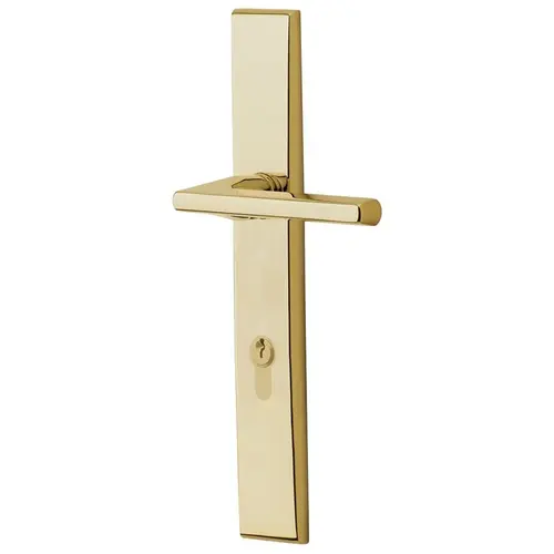 Baldwin MP013031FDP1 Lakeshore Multi Point Trim Passage Configuration 1 Unlacquered Brass Finish