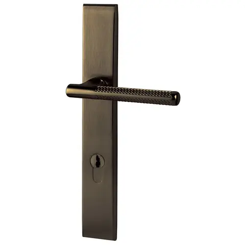 Baldwin MP013050FDP1 Lakeshore Multi Point Trim Passage Configuration 1 Antique Brass Finish