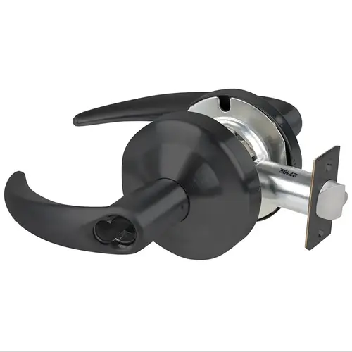 Schlage Commercial ND66JDOME622 ND Series Store Large Format Less Core Omega with 13-247 Latch 10-025 Strike Matte Black Finish