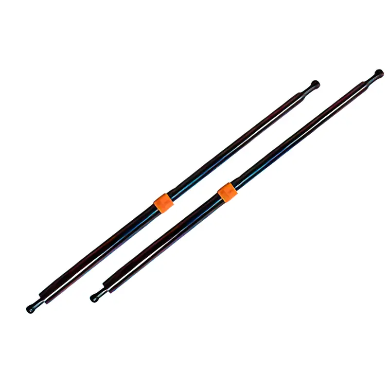Set of Locking Pop-Top Struts [Winnebago Camper]