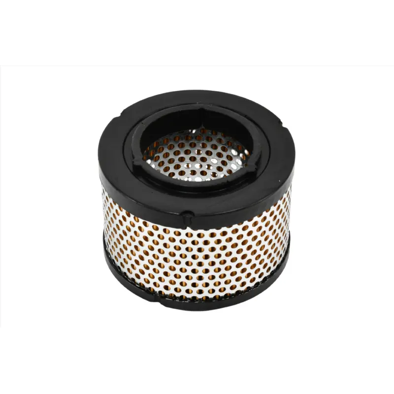 Atlas Copco Air Filter Replacement - 8973035036