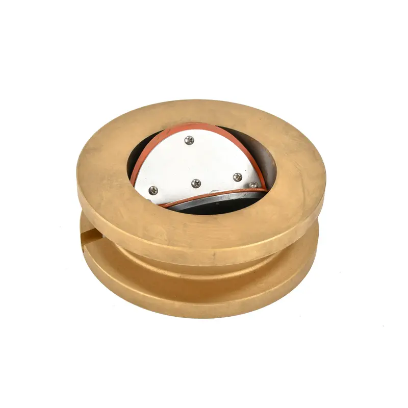 Ingersoll Rand Check Valve Replacement - 38053567