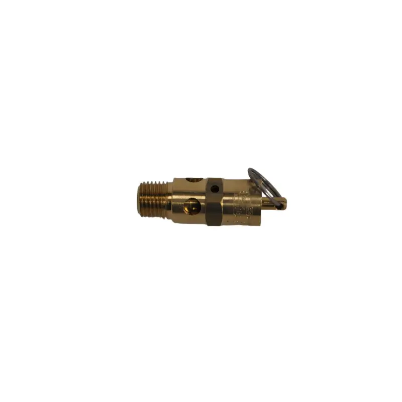 Ingersoll Rand Safety Valve Replacement - 22057210