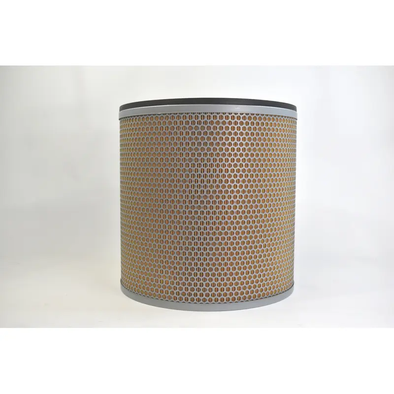 Mann Filter Air Filter Replacement - C36840/1