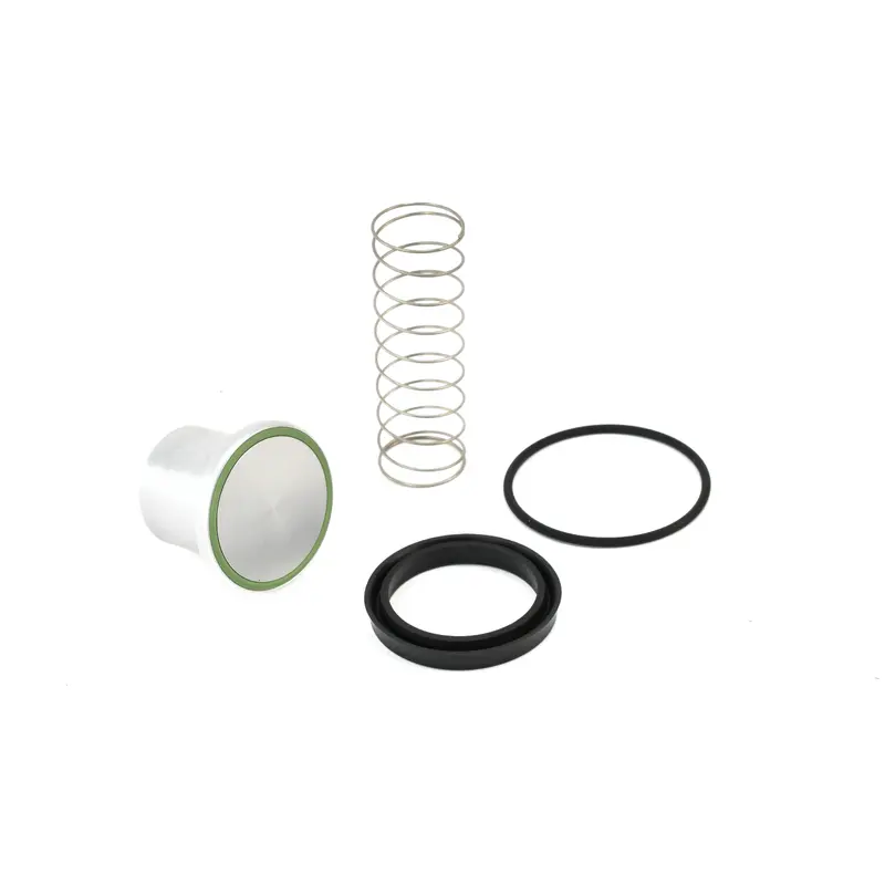 Quincy Minimum Pressure Check Valve Kit Replacement - 147565K