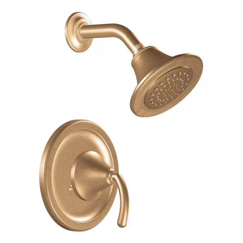 Icon Chrome Moentrol(R) Shower onlyChrome