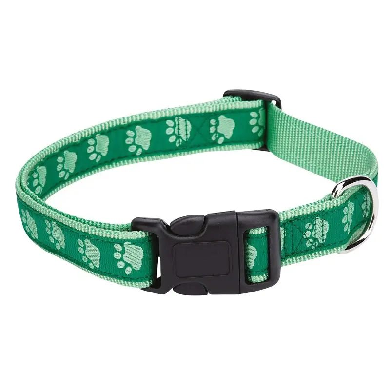 Casual Canine ZA8871 06 43 Dog Collar, 6 to 10 in L Collar, 3/8 in W Collar, Nylon, Green