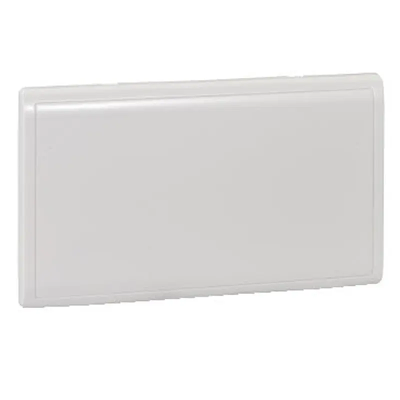 2Gang Blank Plate