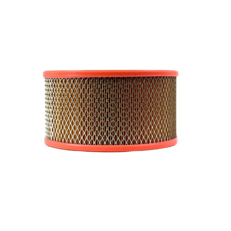 Joy Air Filter Replacement - 1223813