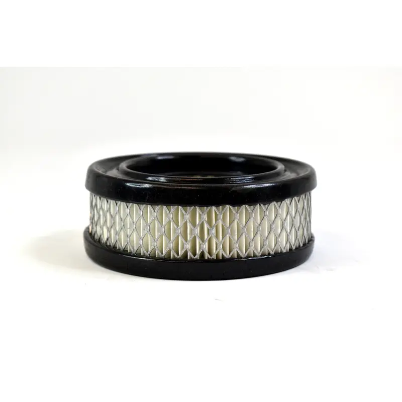 Mann Air Filter Replacement - C1415