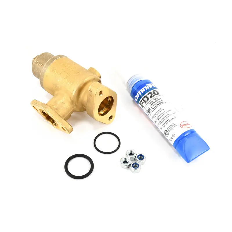 Kaeser Minimum Pressure Check Valve Assembly Replacement - 208321E0