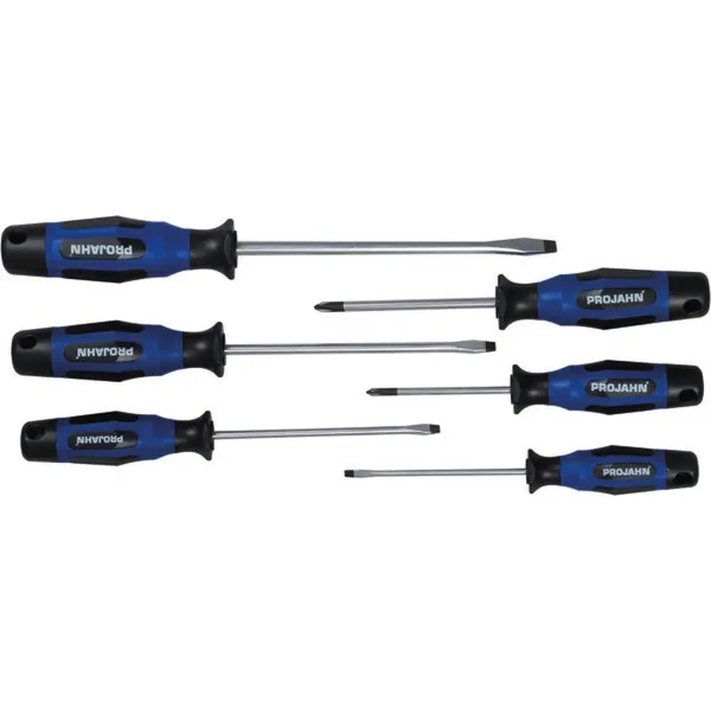 Screwdriver set 6 pcs (PH   slotted) | 4621