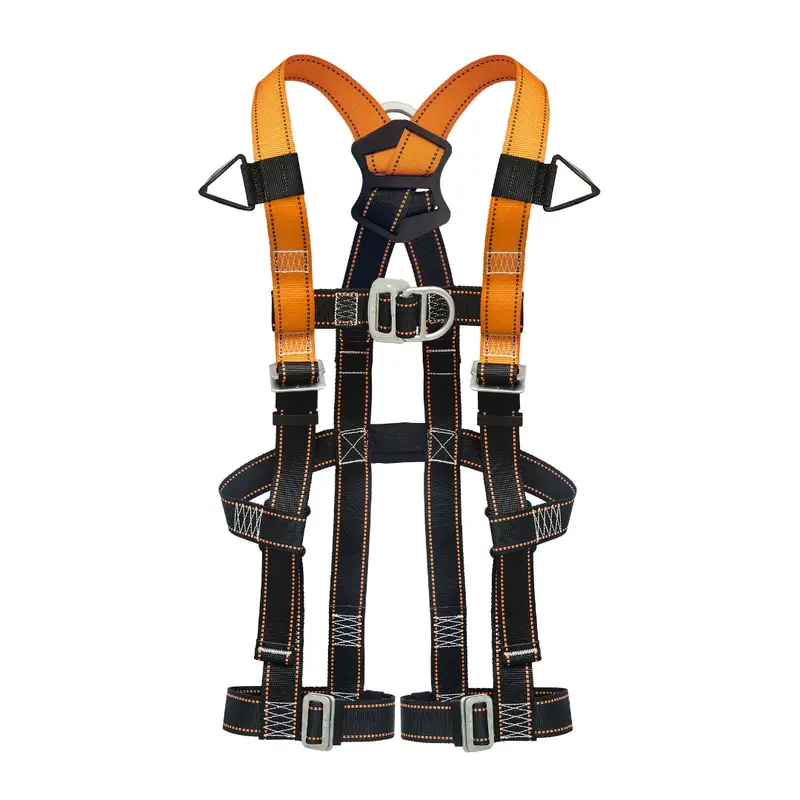 Honeywell Wind Harness & 2 Leg Lanyard | ECB 10001-L