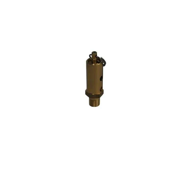 Ingersoll Rand Safety Valve Replacement - 39124888