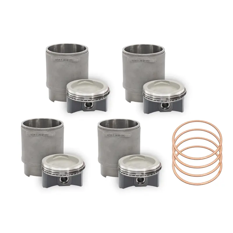 2450cc Piston and Cylinder Set