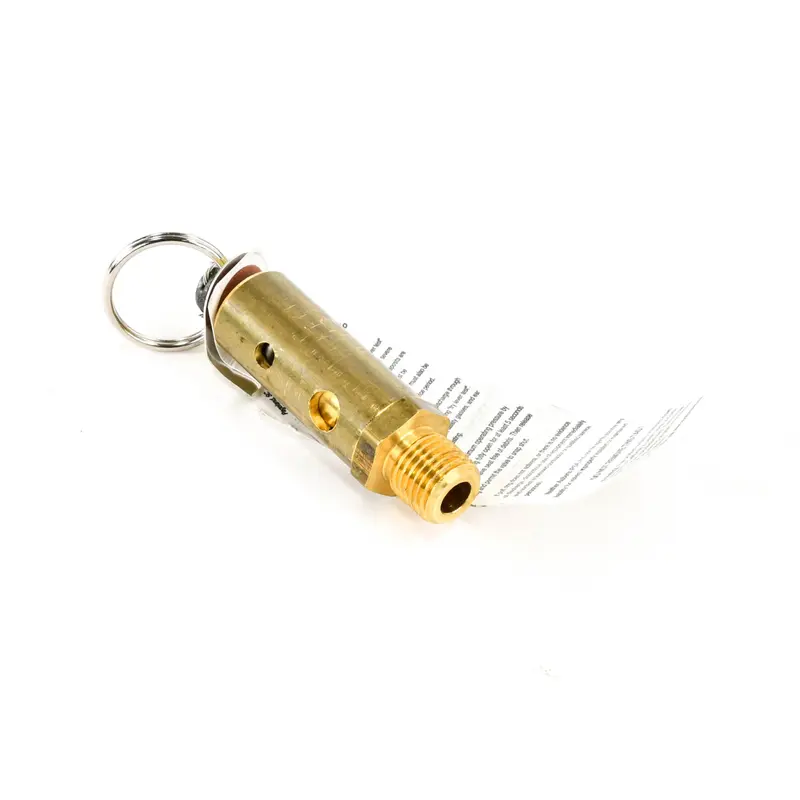 Quincy Relief Valve Replacement - 2013900358