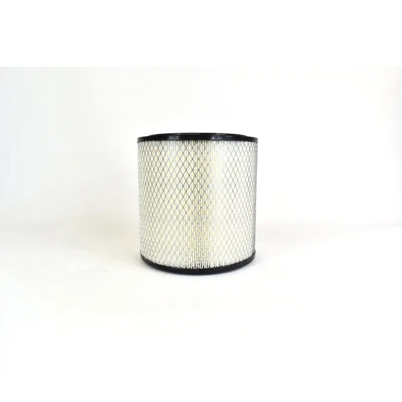Joy Air Filter Replacement - 3606283-25